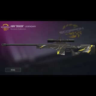 AWM Dragon