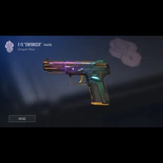 FS Enforcer