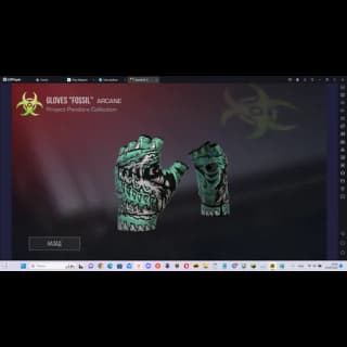 Gloves Fossil