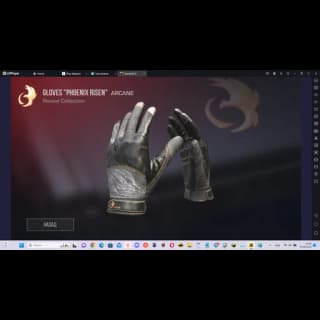 Gloves Phoenix Risen