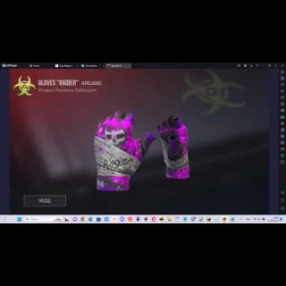 Gloves Raider
