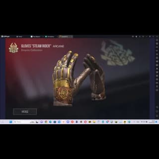 Gloves Steam Rider