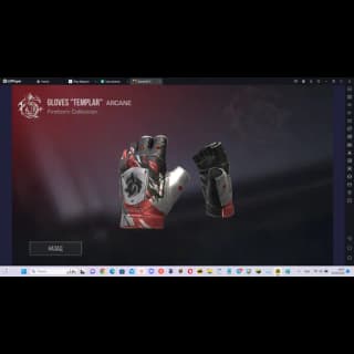 Gloves Templar