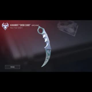 Karambit Snow Camo