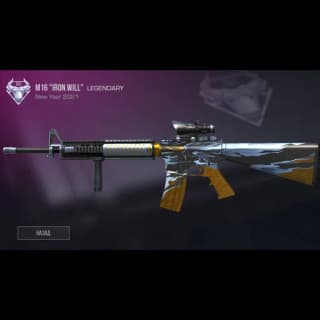 M16 Iron Will