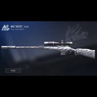 M40 Arctic