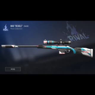 M40 Beagle
