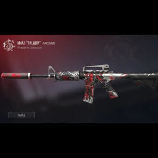 M4A1 Paladin
