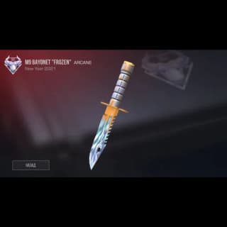 M9 Bayonet Frozen