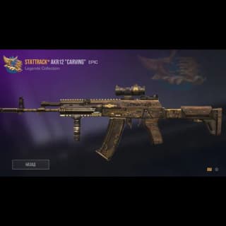 StatTrack AKR12 Carving