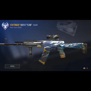 StatTrack AKR12 Flow