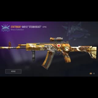 StatTrack AKR12 Steam Beast