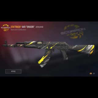 StatTrack AKR Dragon