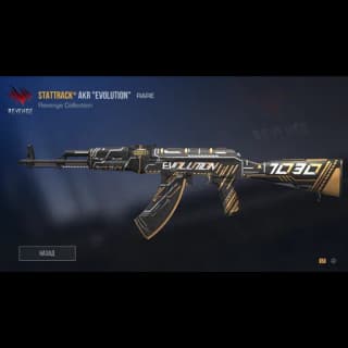 StatTrack AKR Evolution