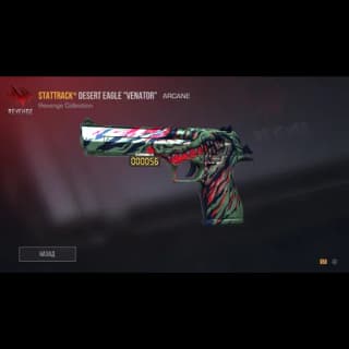 StatTrack Desert Eagle Venator