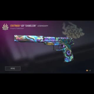 StatTrack USP Chameleon