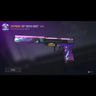StatTrack USP Digital Burst