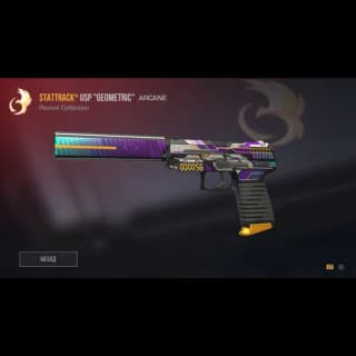 StatTrack USP Geometric