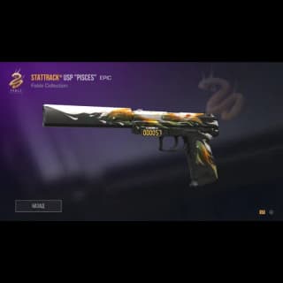 StatTrack USP Pisces