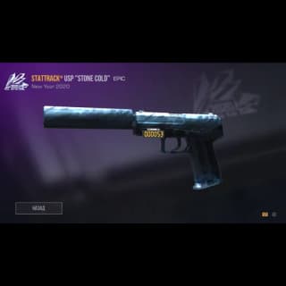 StatTrack USP Stone Cold
