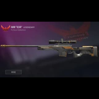 AWM Gear