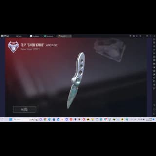Flip Snow Camo