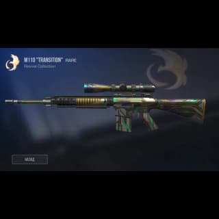 M110 Transition