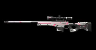 StatTrack AWM Xenoguard